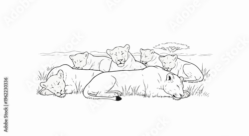 A pride of lions rests in the grass under a savanna tree