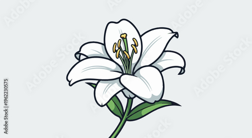 A simple, stylized white lily with green leaves and stem on a light grey background