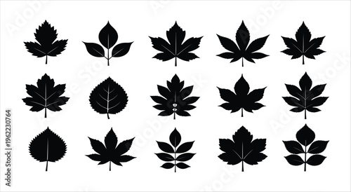 Collection of 15 different black leaf silhouettes