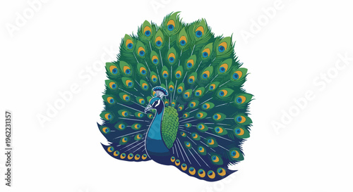 A majestic peacock displays its vibrant, fanned tail feathers