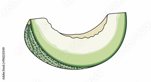 A single green slice of cantaloupe with pale flesh and textured rind