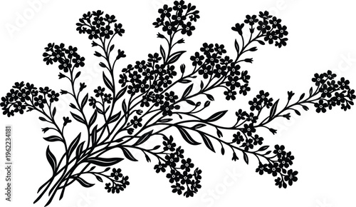 Elegant silhouette of a delicate blooming wildflower bouquet, a timeless botanical illustration for artistic designs