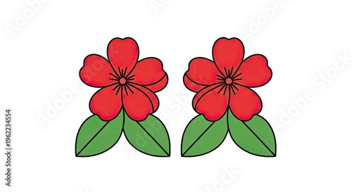 Two vibrant red flowers with green leaves isolated on white background