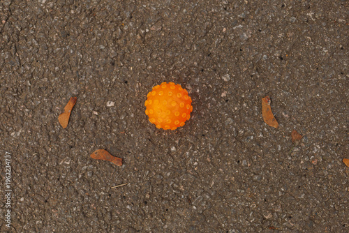An orange ball rests on the asphalt surface surrounded by small brown leaves