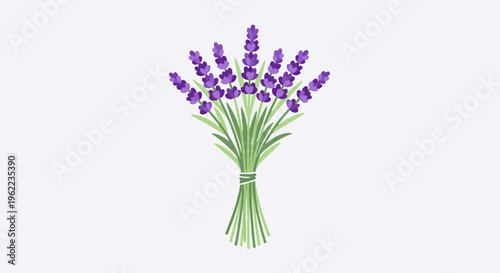 A stylized bunch of purple lavender flowers tied with string