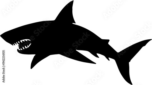shark vector illustration