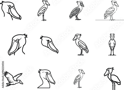 Black and white pelican illustrations in various poses and styles  birds with large pouched bills