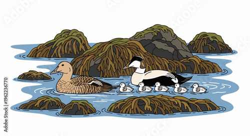 A pair of ducks and their ducklings swim near rocky islands