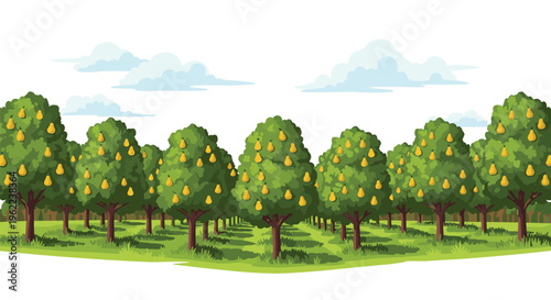 A vast orchard of green trees heavily laden with yellow pears stands under a cloudy blue sky.