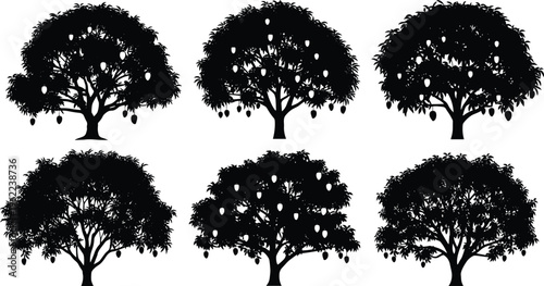 Set of mango tree silhouettes with hanging fruits tropical orchard collection black vector illustration isolated on white background