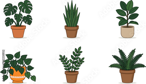 Indoor Potted Plant Illustration Set with Houseplants, Decorative Green Foliage, Monstera, Snake Plant, and Home Decor Botanical Elements for Interior Design