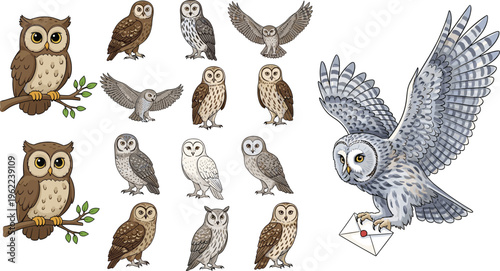 Owl Vector Illustration Set Featuring Various Species in Different Poses Flying, Perched, and Holding Mail Cartoon and Realistic Wildlife Bird Collection