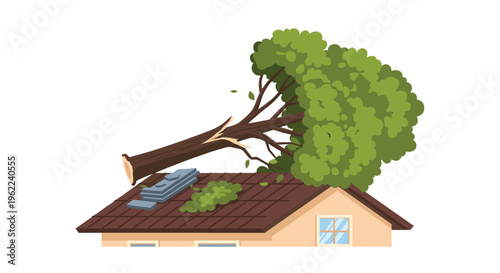 A large green tree with a broken trunk has fallen onto the brown shingled roof of a house, causing visible damage.