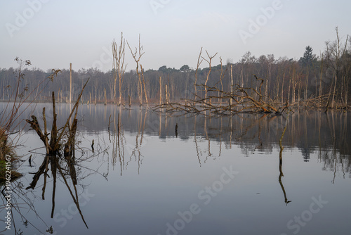 Mystic lake, Bottrop, North Rhine Westphalia, Germany