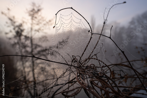 Ruhr river close to Schwerte, North Rhine Westphalia, Germany