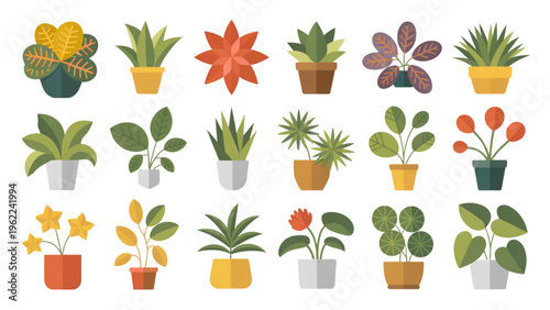 Collection of various indoor house plants in decorative pots featuring diverse leaf shapes design Vector