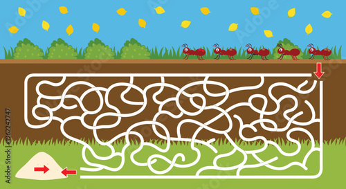 Ant Maze Puzzle Vector Illustration with Underground Tunnel Labyrinth, Kids Educational Game and Insect Pathfinding Activity Design