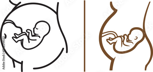 Minimalist vector line art showing a fetus in the womb. Features a circular close-up and a full profile of a pregnant torso, illustrating prenatal development, gestation, and medical biology.