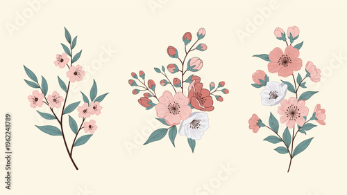 Collection of three separate branches featuring pink cherry blossoms and delicate green leaves in a soft botanical style.