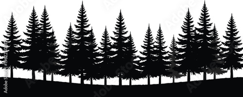 Pine forest silhouette landscape with evergreen trees nature woodland black vector illustration isolated scenic horizon design outdoor background