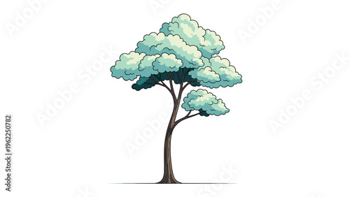 Tall green deciduous tree with a single slender trunk and lush leafy canopy isolated on a plain white background.