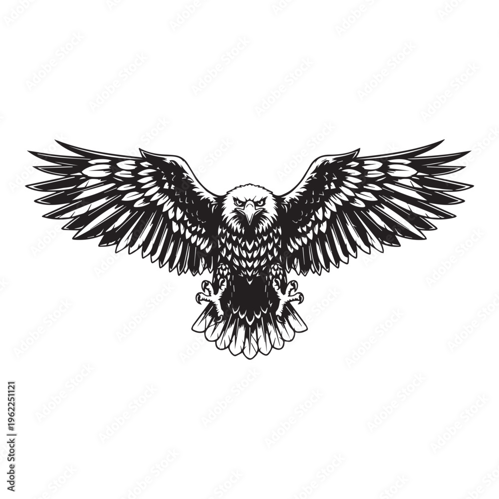 Fototapeta premium Black and white eagle, flying bird, wildlife illustration, vector graphic