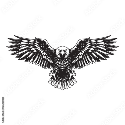 Black and white eagle, flying bird, wildlife illustration, vector graphic