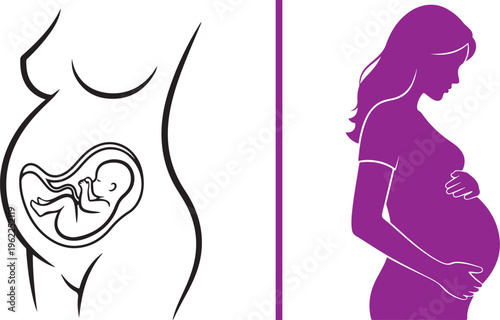 A minimalist vector illustration showing a pregnant woman in profile, featuring both a detailed line art womb with a fetus and a solid purple silhouette holding her belly.