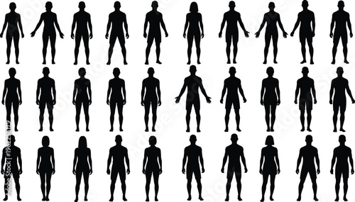 human silhouettes collection, male female body shapes, diverse standing poses, black shadow figures, anatomy reference set, vector illustration, isolated people design