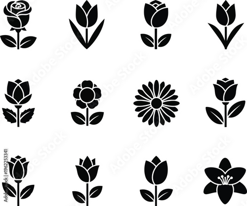 Collection of twelve black flower on white background flower rose tulip daisy simple flower floral botanical black and white
