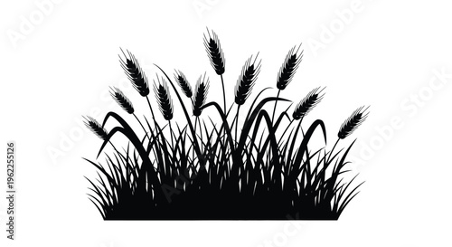 Black silhouette of wheat stalks and grasses against a white background