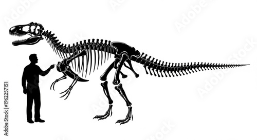 Dinosaur Skeleton Size Comparison with Human Silhouette