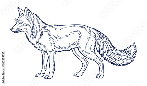Intricate line drawing of a standing wolf with detailed fur illustration