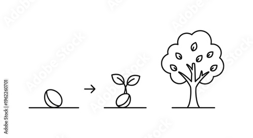 Illustrated sequence depicting seed growth, development, and eventual tree maturity
