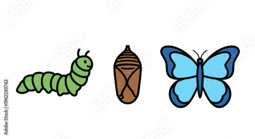 Illustration of Butterfly Life Cycle Stages Depicted in Whimsical Cartoon Style