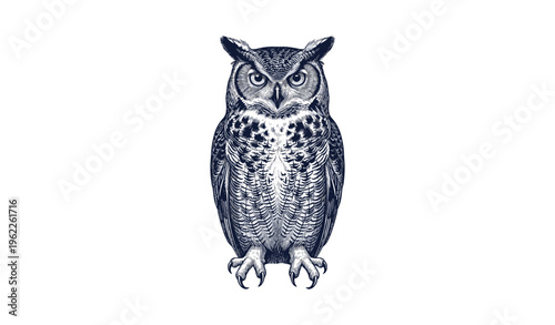 Detailed monochrome illustration of a majestic owl with intense gaze