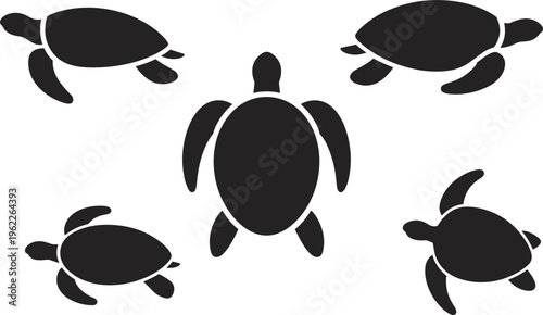 Photography Sea turtle silhouette vector set, marine life animals for tropical beach and oce