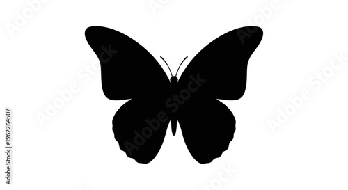 Black Butterfly Silhouette Wings Spread Wide.