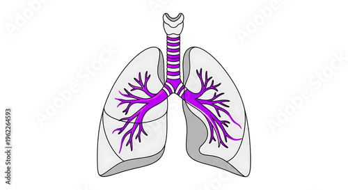 A detailed illustration of human lungs with trachea and bronchi, depicted in a flat, minimalist style.