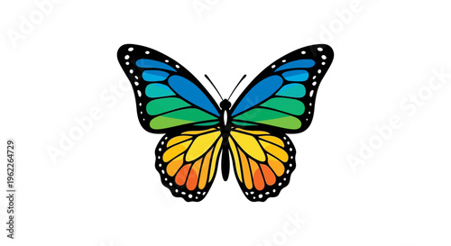 Colorful Butterfly with Open Wings.