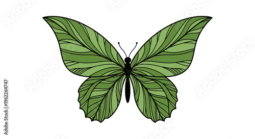 Green butterfly with open wings.