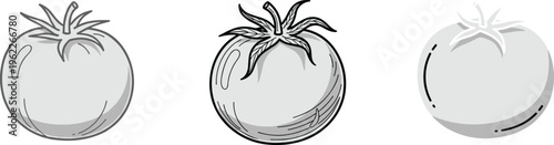 Set of Hand-Drawn Tomatoes in Various Styles for Food, Agriculture, and Nature Design