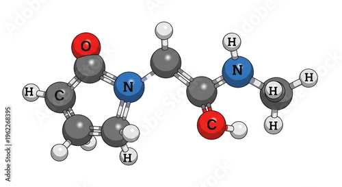 A detailed molecular structure illustration of a peptide bond between two amino acids