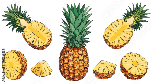 A collection of fresh ripe pineapples isolated on a white background