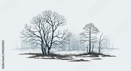 Bare trees stand silhouetted against a foggy winter landscape with snow