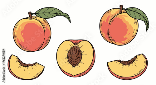 Artistic illustration of ripe peaches, one sliced in half showing its pit and a leaf
