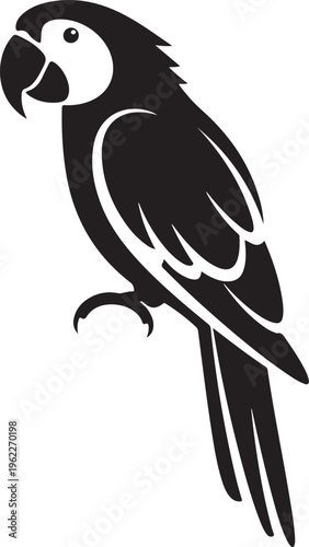 Parrot. Black silhouette of a parrot bird isolated on a white background. Vector illustration