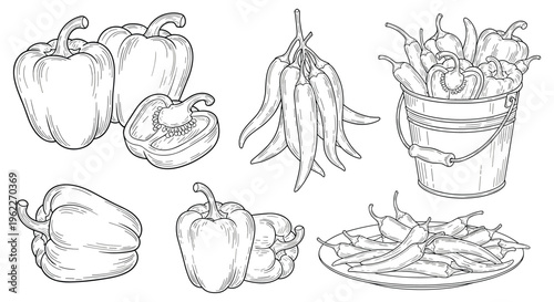 Collection of hand drawn sketch style illustrations of fresh bell peppers and spicy chili peppers in various arrangements.