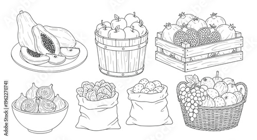 Detailed line art set of various fruits and vegetables in containers like baskets, bags, and crates for farm market branding.