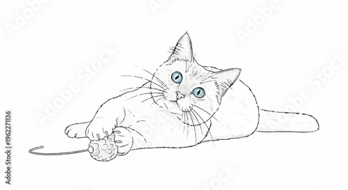 A white cat with bright blue eyes plays with a toy mouse on a white background